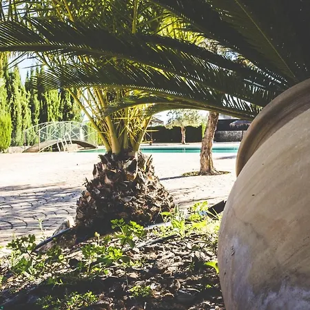 Holiday home Charming House In Estepa With Shared Pool. *