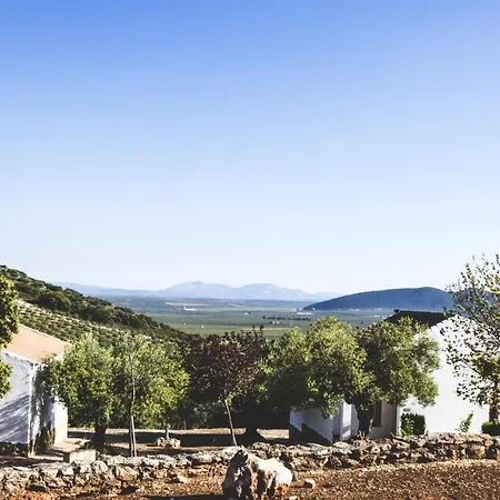 Charming House In Estepa With Shared Pool. * Lora de Estepa